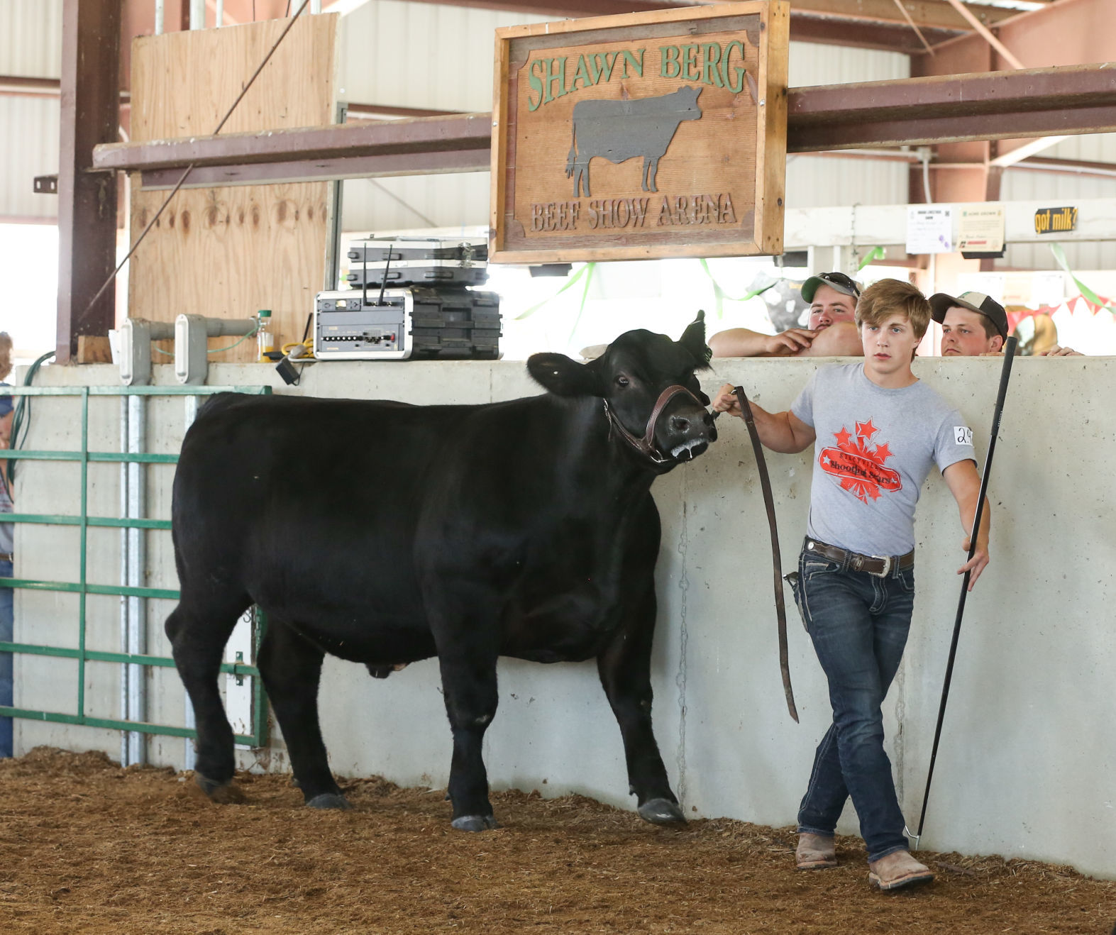 Beef-0257.JPG